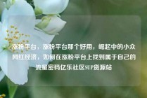 涨粉平台，涨粉平台那个好用，崛起中的小众网红经济，如何在涨粉平台上找到属于自己的流量密码亿乐社区SUP货源站