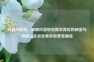 抖音买粉丝，揭秘抖音粉丝购买背后的秘密与风险亿乐社区低价自营货源站