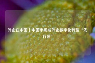 外企在中国｜中国市场成外企数字化转型“先行区”