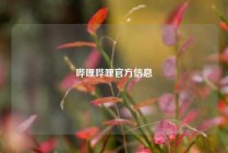 哔哩哔哩官方信息