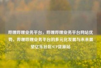 哔哩哔哩业务平台，哔哩哔哩业务平台网站优势，哔哩哔哩业务平台的多元化发展与未来展望亿乐社区SUP货源站