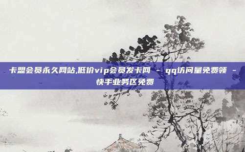 卡盟会员永久网站,低价vip会员发卡网 - qq访问量免费领 快手业务区免费  第1张