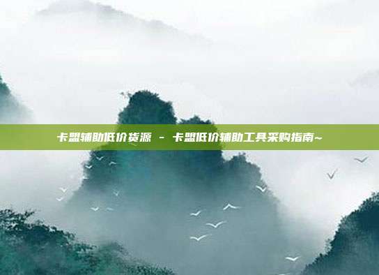 卡盟辅助低价货源 - 卡盟低价辅助工具采购指南~  第1张