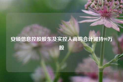 安硕信息控股股东及实控人高鸣合计减持99万股 第1张 安硕信息控股股东及实控人高鸣合计减持99万股 第1张