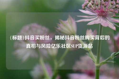 {标题}抖音买粉丝，揭秘抖音粉丝购买背后的真相与风险亿乐社区SUP货源站  第1张