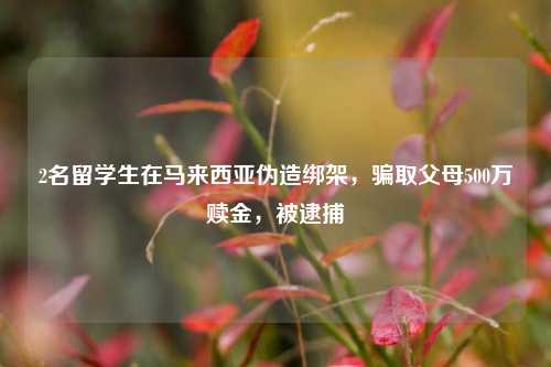 2名留学生在马来西亚伪造绑架	，骗取父母500万赎金，被逮捕  第1张