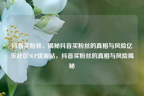 抖音买粉丝，揭秘抖音买粉丝的真相与风险亿乐社区SUP货源站，抖音买粉丝的真相与风险揭秘  第1张