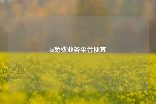 ks免费业务平台便宜  第1张