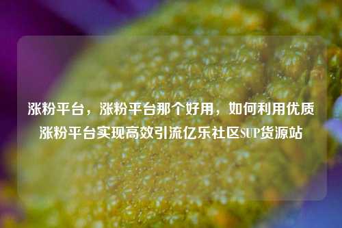 涨粉平台，涨粉平台那个好用	，如何利用优质涨粉平台实现高效引流亿乐社区SUP货源站  第1张