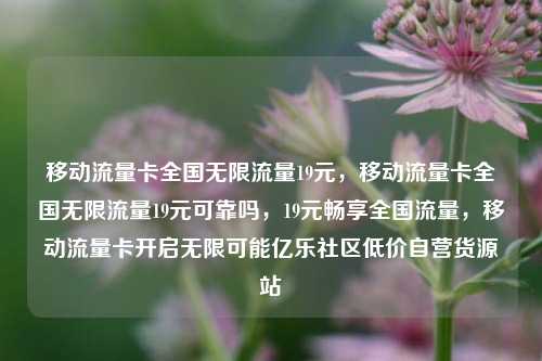 移动流量卡全国无限流量19元	，移动流量卡全国无限流量19元可靠吗，19元畅享全国流量，移动流量卡开启无限可能亿乐社区低价自营货源站  第1张