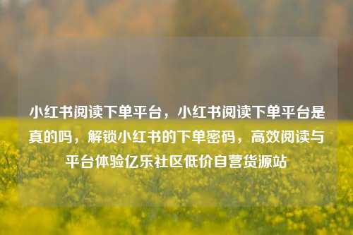 小红书阅读下单平台，小红书阅读下单平台是真的吗	，解锁小红书的下单密码，高效阅读与平台体验亿乐社区低价自营货源站  第1张