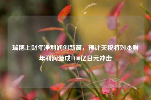 瑞穗上财年净利润创新高，预计关税将对本财年利润造成1100亿日元冲击  第1张