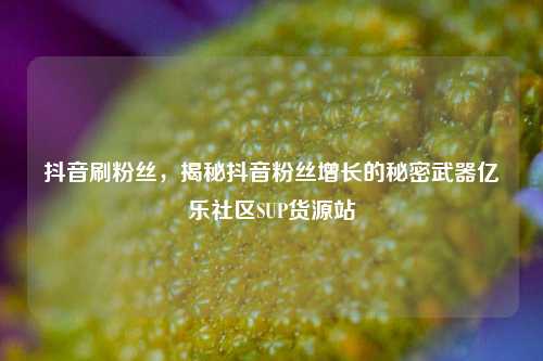 抖音刷粉丝，揭秘抖音粉丝增长的秘密武器亿乐社区SUP货源站  第1张