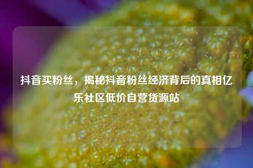 抖音买粉丝，揭秘抖音粉丝经济背后的真相亿乐社区低价自营货源站  第1张