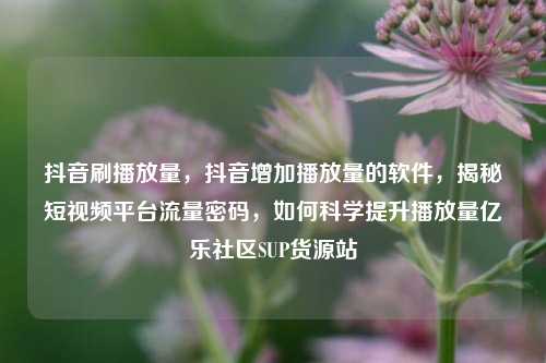 抖音刷播放量	，抖音增加播放量的软件，揭秘短视频平台流量密码，如何科学提升播放量亿乐社区SUP货源站  第1张