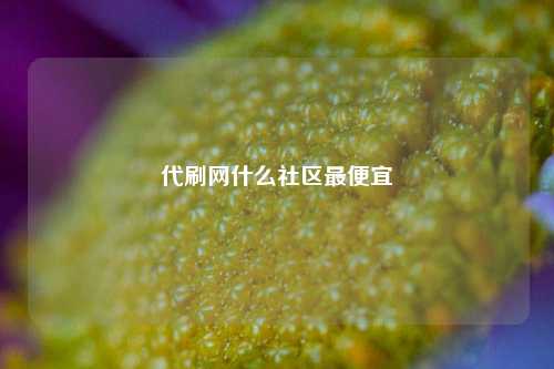 代刷网什么社区最便宜  第1张
