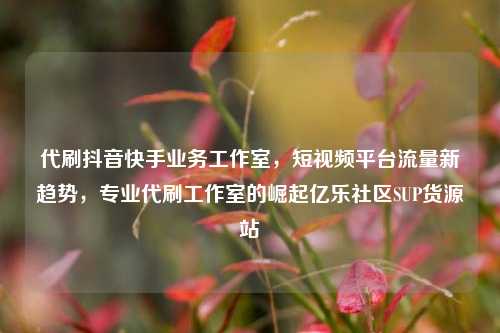代刷抖音快手业务工作室，短视频平台流量新趋势，专业代刷工作室的崛起亿乐社区SUP货源站  第1张