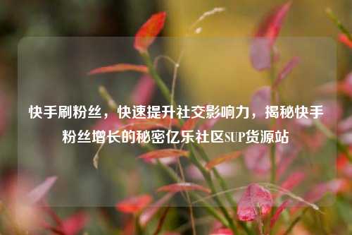 快手刷粉丝	，快速提升社交影响力，揭秘快手粉丝增长的秘密亿乐社区SUP货源站  第1张