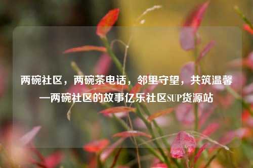 两碗社区	，两碗茶电话，邻里守望，共筑温馨—两碗社区的故事亿乐社区SUP货源站  第1张