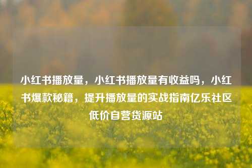 小红书播放量	，小红书播放量有收益吗，小红书爆款秘籍，提升播放量的实战指南亿乐社区低价自营货源站  第1张