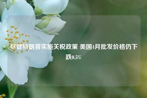 尽管特朗普实施关税政策 美国4月批发价格仍下跌0.5%  第1张