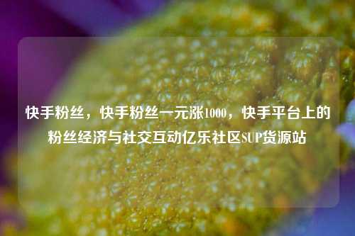 快手粉丝，快手粉丝一元涨1000，快手平台上的粉丝经济与社交互动亿乐社区SUP货源站  第1张