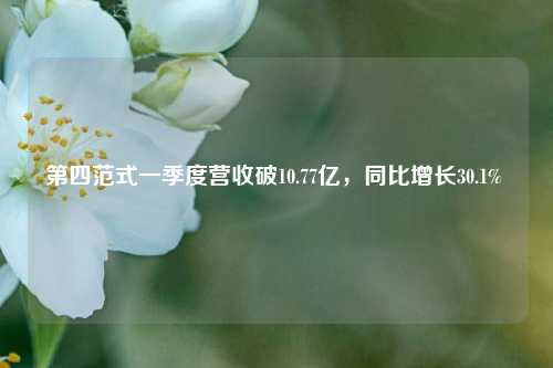 第四范式一季度营收破10.77亿	，同比增长30.1%  第1张