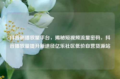抖音刷播放量平台	，揭秘短视频流量密码，抖音播放量提升新途径亿乐社区低价自营货源站  第1张