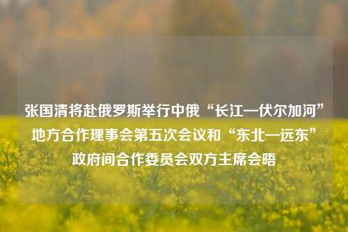张国清将赴俄罗斯举行中俄“长江—伏尔加河	”地方合作理事会第五次会议和“东北—远东”政府间合作委员会双方主席会晤  第1张