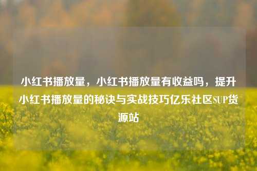 小红书播放量，小红书播放量有收益吗，提升小红书播放量的秘诀与实战技巧亿乐社区SUP货源站  第1张