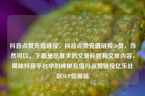 抖音点赞充值链接，抖音点赞充值链接50赞，当然可以。下面是您要求的文章标题和文章内容	，揭秘抖音平台中的神秘充值与点赞链接亿乐社区SUP货源站  第1张