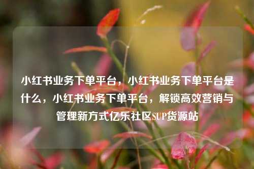 小红书业务下单平台，小红书业务下单平台是什么	，小红书业务下单平台，解锁高效营销与管理新方式亿乐社区SUP货源站  第1张