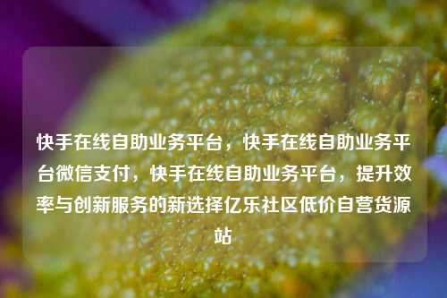 快手在线自助业务平台，快手在线自助业务平台微信支付	，快手在线自助业务平台，提升效率与创新服务的新选择亿乐社区低价自营货源站  第1张