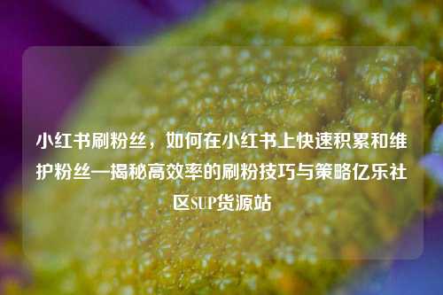 小红书刷粉丝，如何在小红书上快速积累和维护粉丝—揭秘高效率的刷粉技巧与策略亿乐社区SUP货源站  第1张