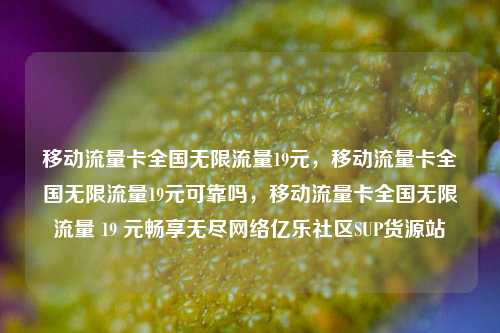 移动流量卡全国无限流量19元，移动流量卡全国无限流量19元可靠吗	，移动流量卡全国无限流量 19 元畅享无尽网络亿乐社区SUP货源站  第1张