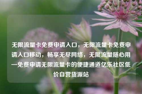 无限流量卡免费申请入口	，无限流量卡免费申请入口移动，畅享无尽网络，无限流量随心用—免费申请无限流量卡的便捷通道亿乐社区低价自营货源站  第1张