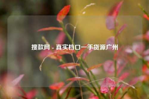 搜款网 - 真实档口一手货源广州  第1张