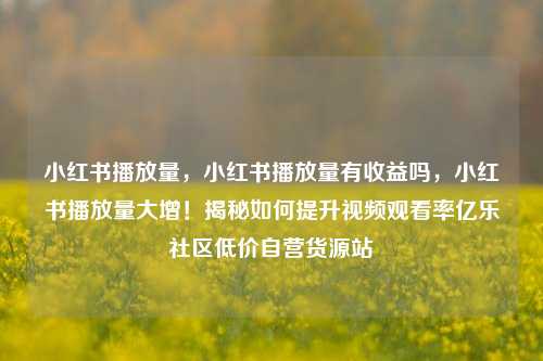 小红书播放量，小红书播放量有收益吗，小红书播放量大增！揭秘如何提升视频观看率亿乐社区低价自营货源站  第1张