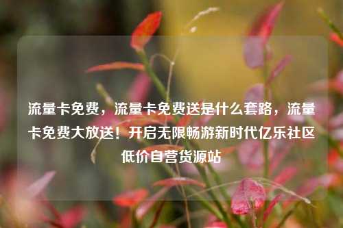 流量卡免费，流量卡免费送是什么套路	，流量卡免费大放送！开启无限畅游新时代亿乐社区低价自营货源站  第1张