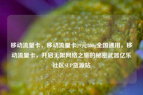 移动流量卡，移动流量卡29元300g全国通用	，移动流量卡，开启无限网络之旅的秘密武器亿乐社区SUP货源站  第1张