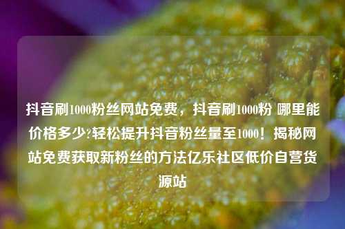 抖音刷1000粉丝网站免费，抖音刷1000粉 哪里能价格多少?轻松提升抖音粉丝量至1000！揭秘网站免费获取新粉丝的方法亿乐社区低价自营货源站  第1张