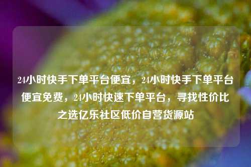 24小时快手下单平台便宜	，24小时快手下单平台便宜免费，24小时快速下单平台，寻找性价比之选亿乐社区低价自营货源站  第1张