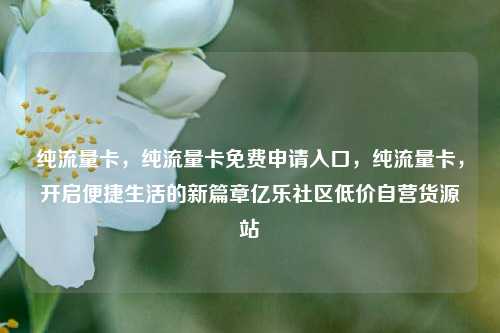 纯流量卡	，纯流量卡免费申请入口，纯流量卡，开启便捷生活的新篇章亿乐社区低价自营货源站  第1张