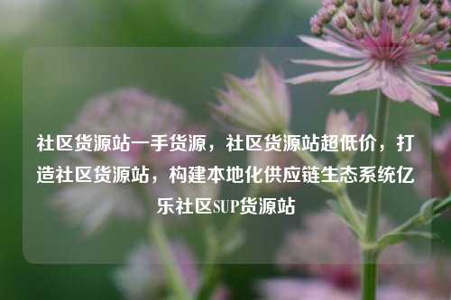 社区货源站一手货源	，社区货源站超低价，打造社区货源站，构建本地化供应链生态系统亿乐社区SUP货源站  第1张