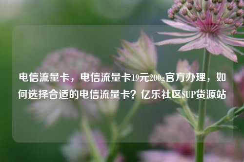 电信流量卡，电信流量卡19元200g官方办理，如何选择合适的电信流量卡？亿乐社区SUP货源站  第1张