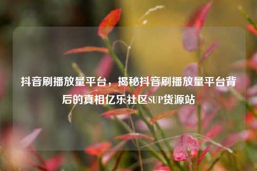 抖音刷播放量平台	，揭秘抖音刷播放量平台背后的真相亿乐社区SUP货源站  第1张