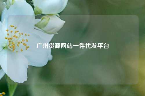 广州货源网站一件代发平台  第1张