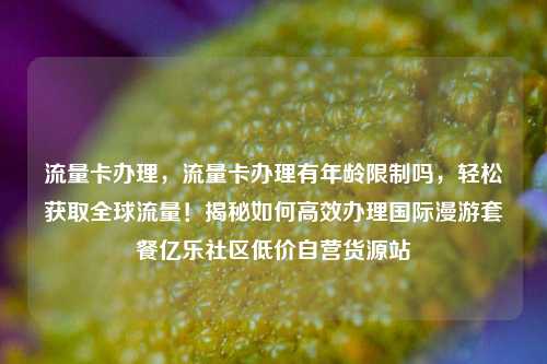 流量卡办理，流量卡办理有年龄限制吗	，轻松获取全球流量！揭秘如何高效办理国际漫游套餐亿乐社区低价自营货源站  第1张
