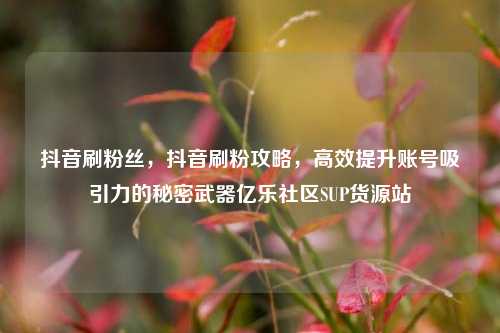 抖音刷粉丝，抖音刷粉攻略，高效提升账号吸引力的秘密武器亿乐社区SUP货源站  第1张