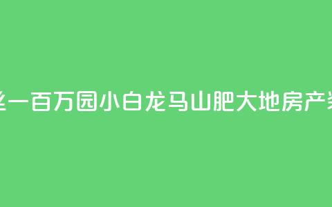 快手粉丝一百万0.01园小白龙马山肥大地房产装修网站,快手粉丝都是老头粉怎么办 - 抖音秒刷最低网站 ds抖音粉  第1张